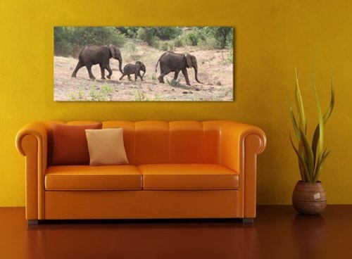 Leinwandbild Panorama Nr. 8 Elefantenfamilie 100x40cm,...