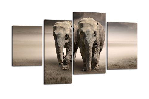 Leinwandbild Elefantentraum LW188 Wandbild, Bild auf...