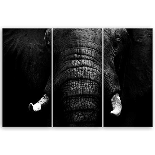 ge Bildet® hochwertiges Leinwandbild XXL - Elefant -...