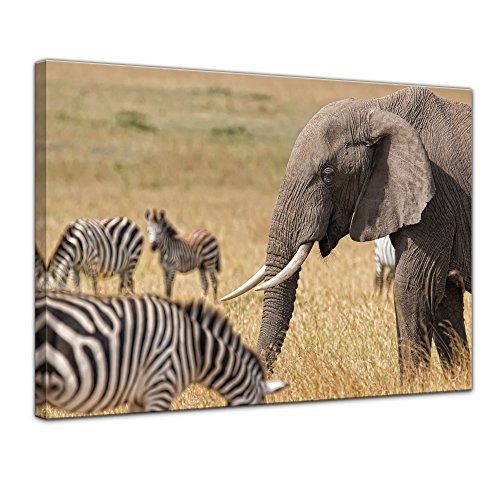 Keilrahmenbild - Afrika (Zebra und Elefant) - Bild auf Leinwand - 120x90 cm 1 teilig - Leinwandbilder - Bilder als Leinwanddruck - Tierwelten - Natur -Afrika - afrikanische Fauna