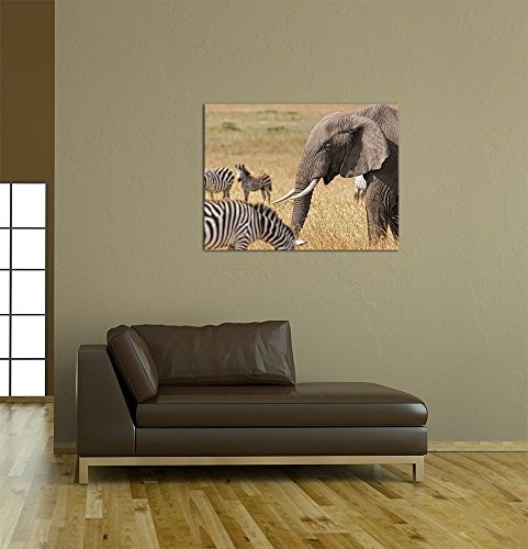 Keilrahmenbild - Afrika (Zebra und Elefant) - Bild auf Leinwand - 120x90 cm 1 teilig - Leinwandbilder - Bilder als Leinwanddruck - Tierwelten - Natur -Afrika - afrikanische Fauna