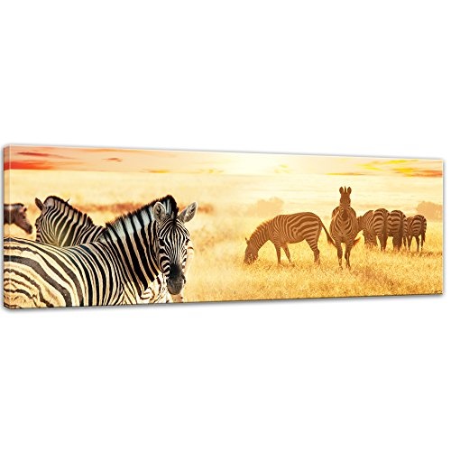 Keilrahmenbild Zebras in der Savanne - 120x40 cm Bilder als Leinwanddruck Fotoleinwand Tierbild Afrika - Wilddpferde - Zebraherde im Sonnenuntergang