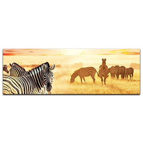 Keilrahmenbild Zebras in der Savanne - 120x40 cm Bilder als Leinwanddruck Fotoleinwand Tierbild Afrika - Wilddpferde - Zebraherde im Sonnenuntergang