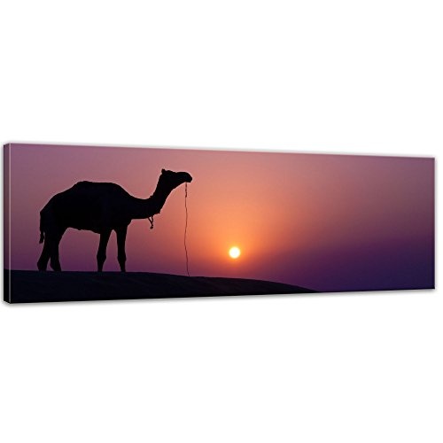 Keilrahmenbild - Kamel im Sonnenuntergang - Bild auf Leinwand - 120 x 40 cm - Leinwandbilder - Bilder als Leinwanddruck - Tierwelten - Wildtiere - Wüste in Afrika