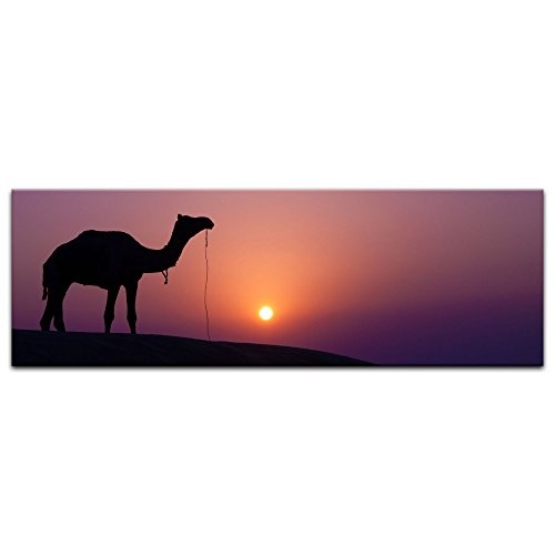 Keilrahmenbild - Kamel im Sonnenuntergang - Bild auf Leinwand - 120 x 40 cm - Leinwandbilder - Bilder als Leinwanddruck - Tierwelten - Wildtiere - Wüste in Afrika