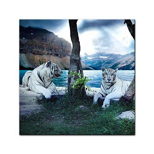 Keilrahmenbild - Tiger II - Bild auf Leinwand - 80 x 80 cm - Leinwandbilder - Bilder als Leinwanddruck - Tierwelten - Wildtiere - Grosskatzen - Zwei weiße Tiger