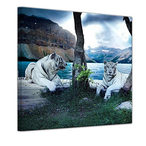 Keilrahmenbild - Tiger II - Bild auf Leinwand - 80 x 80 cm - Leinwandbilder - Bilder als Leinwanddruck - Tierwelten - Wildtiere - Grosskatzen - Zwei weiße Tiger