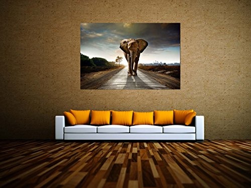 kunst-discounter Bild Leinwandbilder Canvas Elefant Afrika Walking Elephant A05327 150 x 100 cm