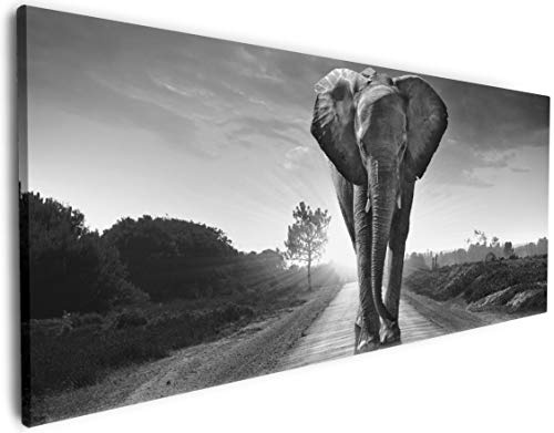 Wallario XXXL Riesen- Leinwandbild Elefant bei Sonnenaufgang in Afrika schwarzweiß - 80 x 200 cm Brillante lichtechte Farben, hochauflösend, verzugsfrei