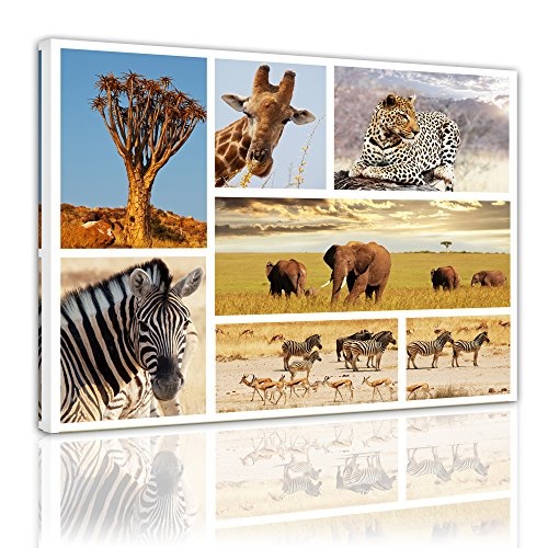 Keilrahmenbild - Afrika Collage II - Bild auf Leinwand - 120 x 90 cm - Leinwandbilder - Bilder als Leinwanddruck - Tierwelten - Fotocollage - afrikanische Tiere