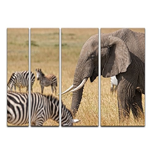 Keilrahmenbild - Afrika (Zebra und Elefant) - Bild auf...