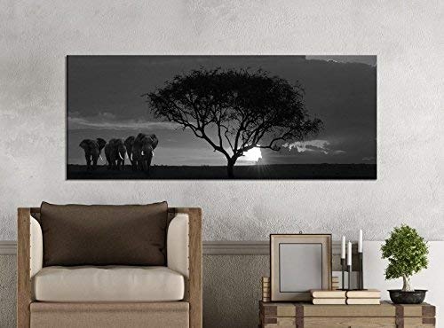 Leinwandbilder 1Tlg 100x40cm schwarz weiß Afrika...