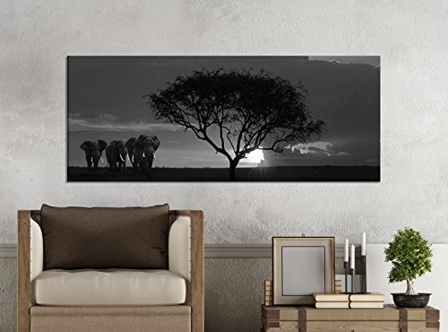 Leinwandbilder 1Tlg 100x40cm schwarz weiß Afrika Savanne Elefanten Safari Baum Leinwandbild Kunstdruck Wand Bilder Vlies Wandbild Leinwand Bild Druck 9Z1637, Leinwandbild Größe:100x40cm