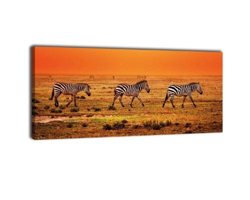 Leinwandbild Panorama Nr. 332 Zebras in der Savanne...