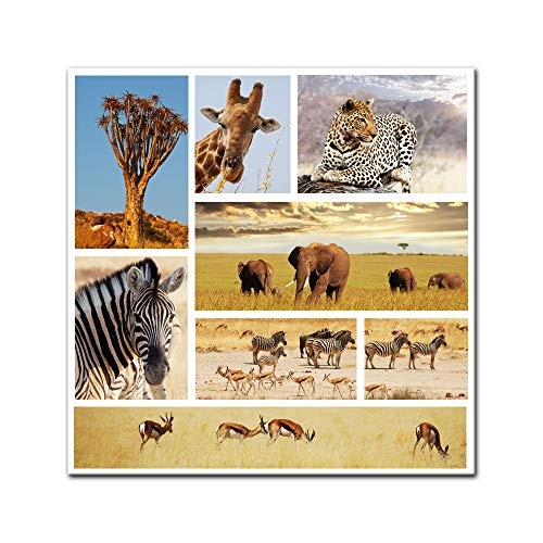Keilrahmenbild - Afrika Collage II - Bild auf Leinwand - 80 x 80 cm - Leinwandbilder - Bilder als Leinwanddruck - Tierwelten - Fotocollage - afrikanische Tiere