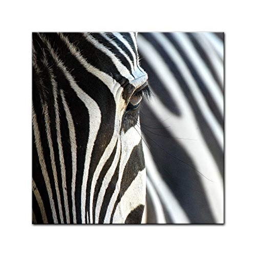 Keilrahmenbild - Zebra - Bild auf Leinwand - 80 x 80 cm -...