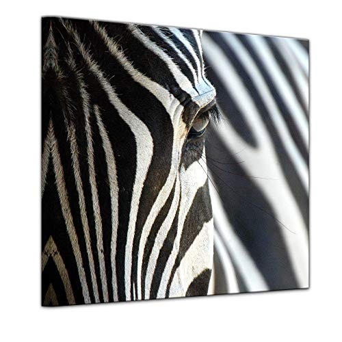 Keilrahmenbild - Zebra - Bild auf Leinwand - 80 x 80 cm - Leinwandbilder - Bilder als Leinwanddruck - Tierwelten - Natur - Afrika - gestreiftes Tier