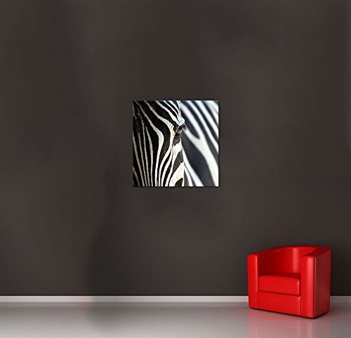 Keilrahmenbild - Zebra - Bild auf Leinwand - 80 x 80 cm - Leinwandbilder - Bilder als Leinwanddruck - Tierwelten - Natur - Afrika - gestreiftes Tier