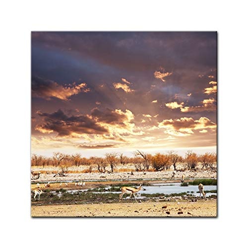 Keilrahmenbild - Gazellen - Bild auf Leinwand - 80 x 80 cm - Leinwandbilder - Bilder als Leinwanddruck - Tierwelten - Wildtiere - Gazellen in Afrika