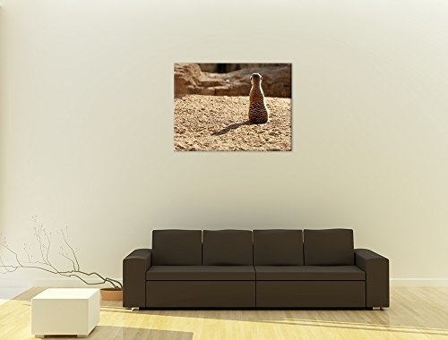 Keilrahmenbild - Einsames Erdmännchen - Bild auf Leinwand - 120x90 cm einteilig - Leinwandbilder - Tierwelten - Afrika - Erdmännchen hält Wache