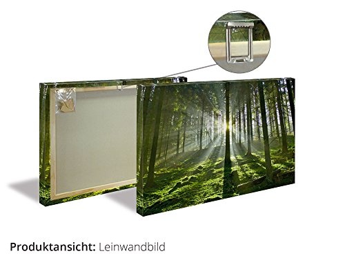 Artland Qualitätsbilder I Bild auf Leinwand Leinwandbilder Wandbilder 50 x 50 cm Landschaften Sonnenaufgang -untergang Malerei Orange B1UT Abendsonne