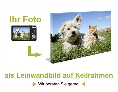 Artland Qualitätsbilder I Bild auf Leinwand Leinwandbilder Wandbilder 50 x 50 cm Landschaften Sonnenaufgang -untergang Malerei Orange B1UT Abendsonne