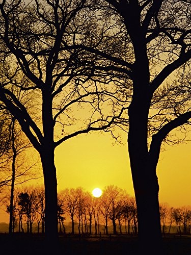 Artland Qualitätsbilder I Bild auf Leinwand Leinwandbilder Wandbilder 90 x 120 cm Landschaften Sonnenaufgang -untergang Foto Orange A5AX Sonnenuntergang