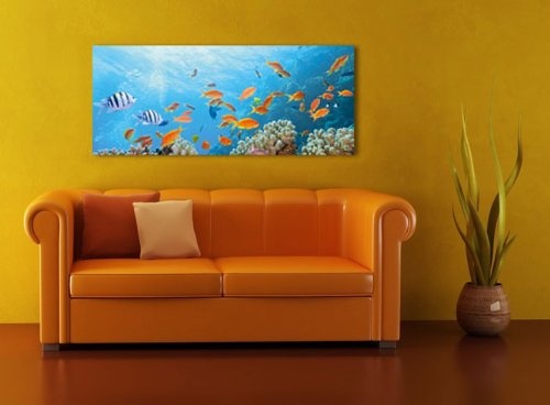 Leinwandbild Panorama Nr. 65 Unterwasserwelt 100x40cm, Keilrahmenbild, Bild auf Leinwand, Kunstdruck Riff Fische Koralle