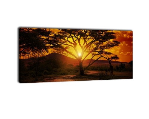 Leinwandbild Panorama Nr. 56 Afrika Sonnenuntergang 100x40cm, Keilrahmenbild, Bild auf Leinwand, Savanne, Giraffe, Abendrot