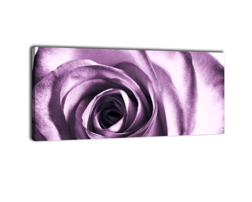 Leinwandbild Panorama Nr. 82 violette Rose 100x40cm,...
