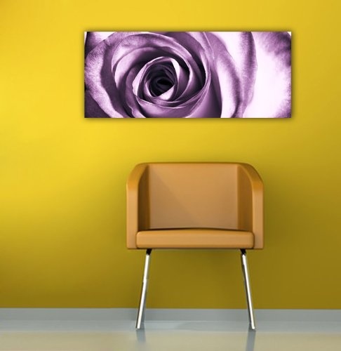 Leinwandbild Panorama Nr. 82 violette Rose 100x40cm, Keilrahmenbild, Bild auf Leinwand, Kunstdruck Rose lila Knospe