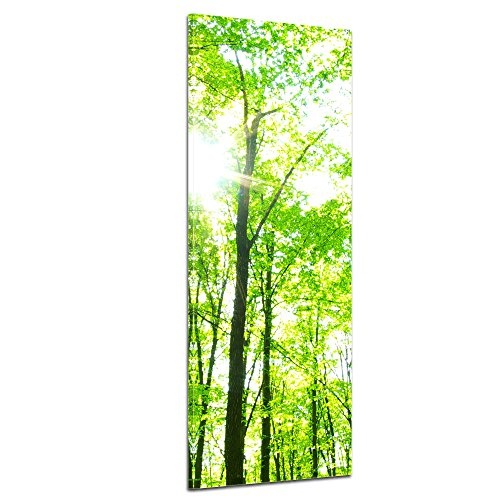 Keilrahmenbild - Grüner Wald - Bild auf Leinwand - 50x160 cm einteilig - Leinwandbilder - Landschaften - Baumkronen im Sonnenschein