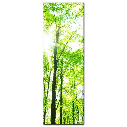 Keilrahmenbild - Grüner Wald - Bild auf Leinwand - 50x160 cm einteilig - Leinwandbilder - Landschaften - Baumkronen im Sonnenschein