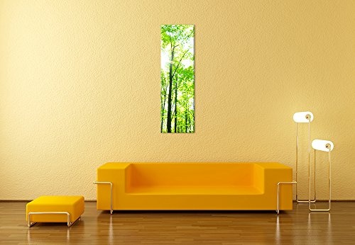 Keilrahmenbild - Grüner Wald - Bild auf Leinwand - 50x160 cm einteilig - Leinwandbilder - Landschaften - Baumkronen im Sonnenschein