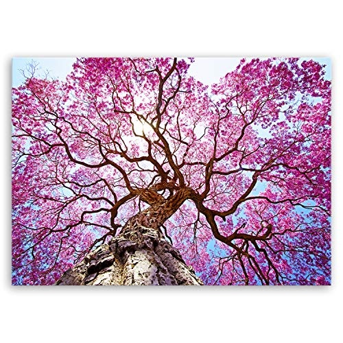 ge Bildet® hochwertiges Leinwandbild Naturbilder Landschaftsbilder - Rosa Lapacho Baum in Pocone - Brasilien - Natur Baum Pink Lila - 70 x 50 cm einteilig 2213 B