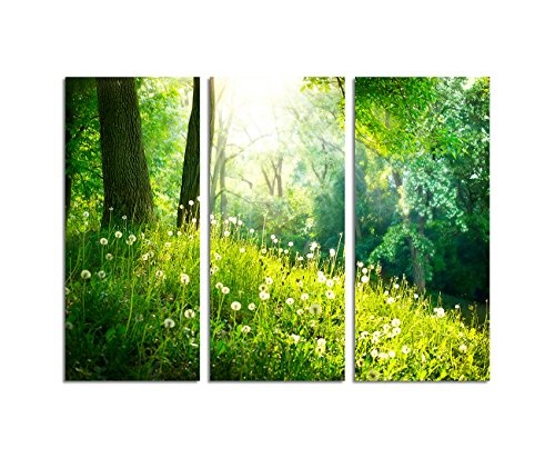 130x90cm - Keilrahmenbild Frühling Natur wunderschöne Landschaft Pusteblumen 3teiliges Wandbild auf Leinwand und Keilrahmen - Fotobild Kunstdruck Artprint