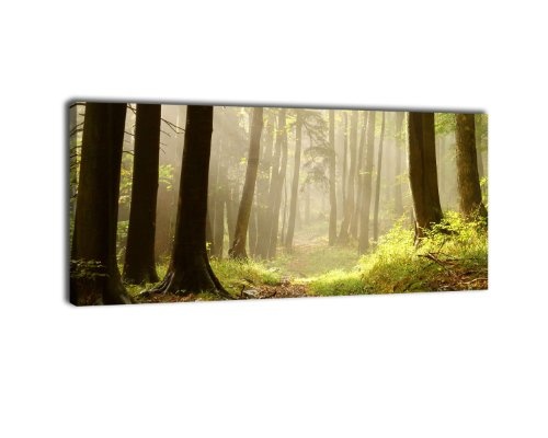 Leinwandbild Panorama Nr. 78 Waldweg 100x40cm, Keilrahmenbild, Bild auf Leinwand, Kunstdruck Wald Laub Natur