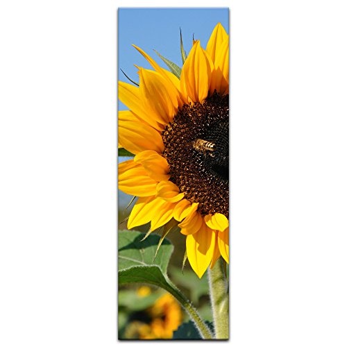 Keilrahmenbild - Sonnenblume mit Biene - Bild auf Leinwand - 40 x 120 cm - Leinwandbilder - Bilder als Leinwanddruck - Pflanzen & Blumen - Natur - gelbe Sonnenblumen