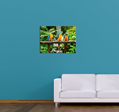 Keilrahmenbild - Blau-Gelber Papagei - Bild auf Leinwand - 120x90 cm 1 teilig - Leinwandbilder - Tierwelten - Südamerika - Ara - Gelbbrustara - tropisch