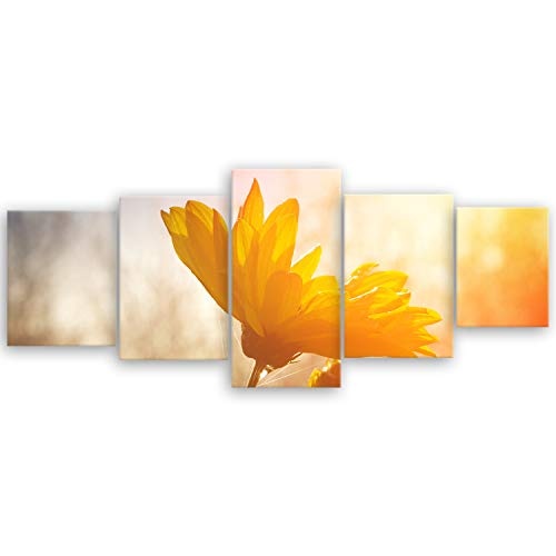 ge Bildet® hochwertiges Leinwandbild XXL - Gänseblümchen - 200 x 80 cm mehrteilig (5 teilig) 1295