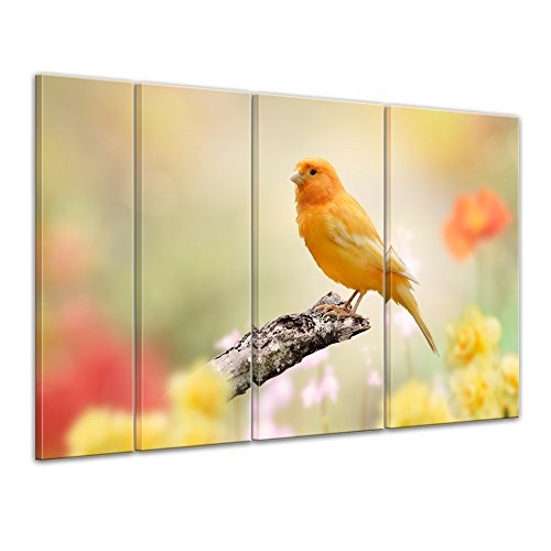 Keilrahmenbild gelber Kanarienvogel - 180x120 cm Bilder...
