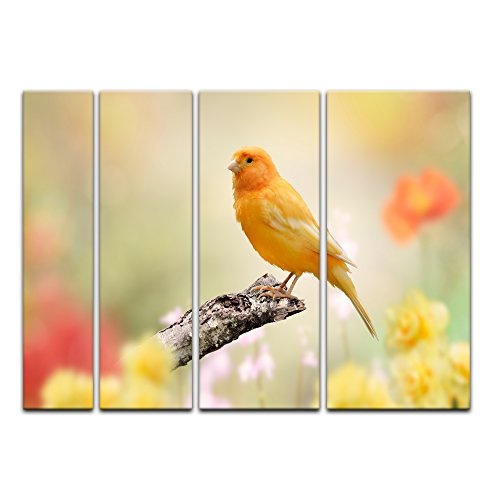 Keilrahmenbild gelber Kanarienvogel - 180x120 cm Bilder als Leinwanddruck Fotoleinwand Tierbild Vogel - gelber Kanarienvogel in der Natur