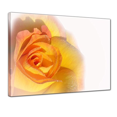 Keilrahmenbild - Gelbe Rose - Bild auf Leinwand - 120x90 cm einteilig - Leinwandbilder - Pflanzen & Blumen - Rosenblüte -Nahaufnahme