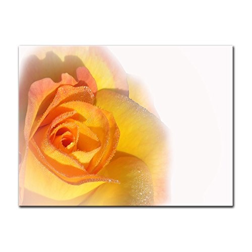 Keilrahmenbild - Gelbe Rose - Bild auf Leinwand - 120x90...