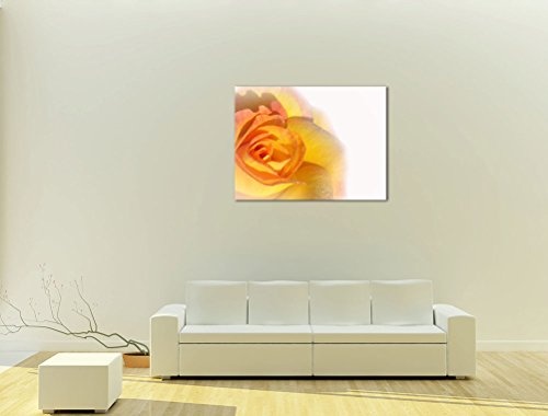 Keilrahmenbild - Gelbe Rose - Bild auf Leinwand - 120x90 cm einteilig - Leinwandbilder - Pflanzen & Blumen - Rosenblüte -Nahaufnahme