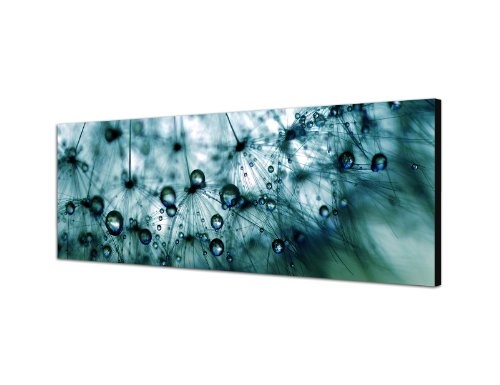 Augenblicke Wandbilder Keilrahmenbild Wandbild 150x50cm Pusteblume Löwenzahn Wassertropfen Tau