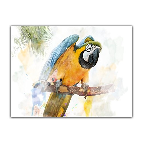 Keilrahmenbild - Aquarell - Papagei - Bild auf Leinwand 120 x 90 cm einteilig - Leinwandbilder - Bilder als Leinwanddruck - Tierwelten - Malerei - Vogel - blau-gelber Ara