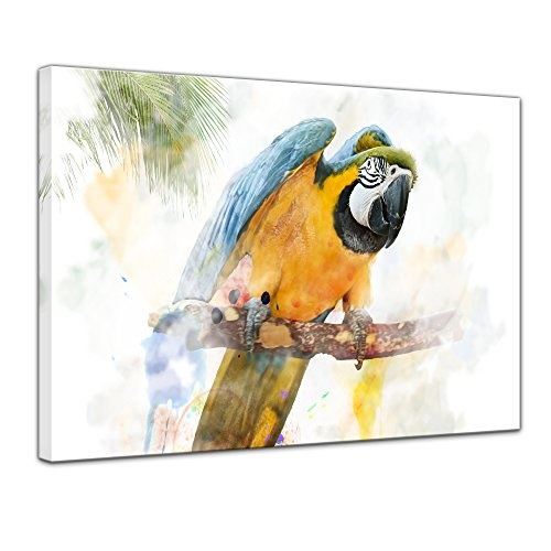 Keilrahmenbild - Aquarell - Papagei - Bild auf Leinwand 120 x 90 cm einteilig - Leinwandbilder - Bilder als Leinwanddruck - Tierwelten - Malerei - Vogel - blau-gelber Ara