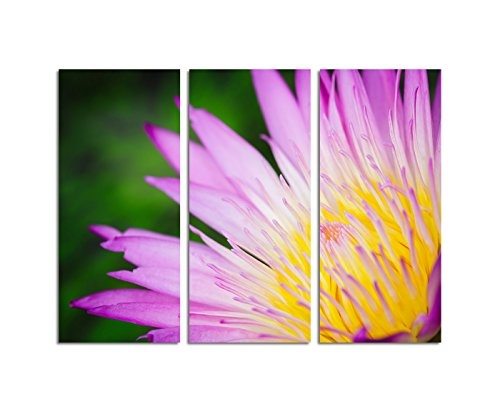 130x90cm – Keilrahmenbild Nahaufnahme pinker Lotus gelber Pollen 3teiliges Wandbild auf Leinwand und Keilrahmen - Fotobild Kunstdruck Artprint