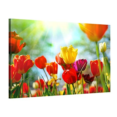 ge Bildet® hochwertiges Leinwandbild - Frühlings Tulpen - 70 x 50 cm einteilig 1311